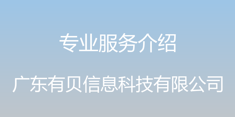 专业服务介绍 - 广东有贝信息科技有限公司